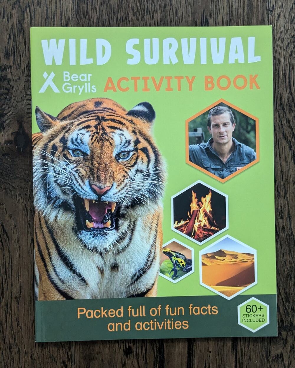 Bear Grylls Wild Survivor Activity Book